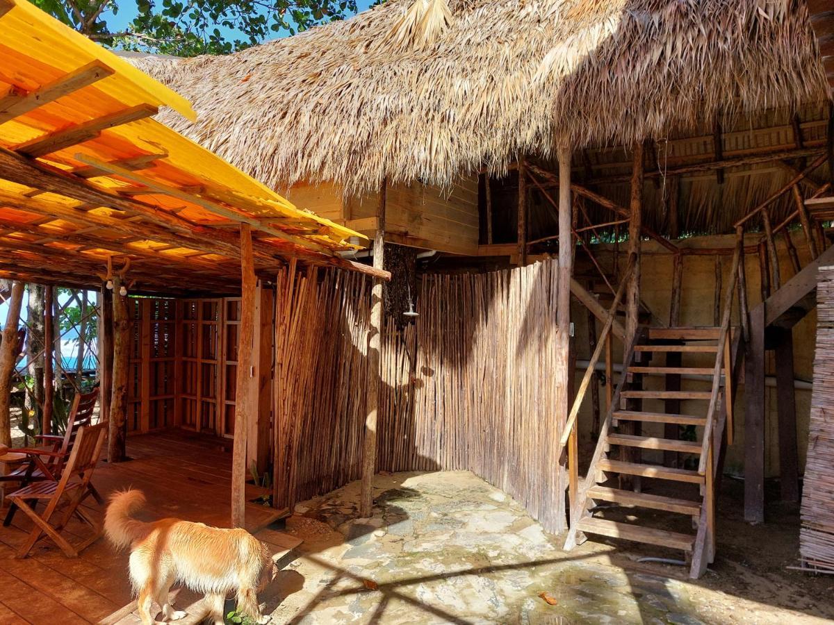 Cabarete Maravilla Eco Lodge Boutique Beach Surf Encuentro, Kite, By Aa Crypto Group Esterno foto