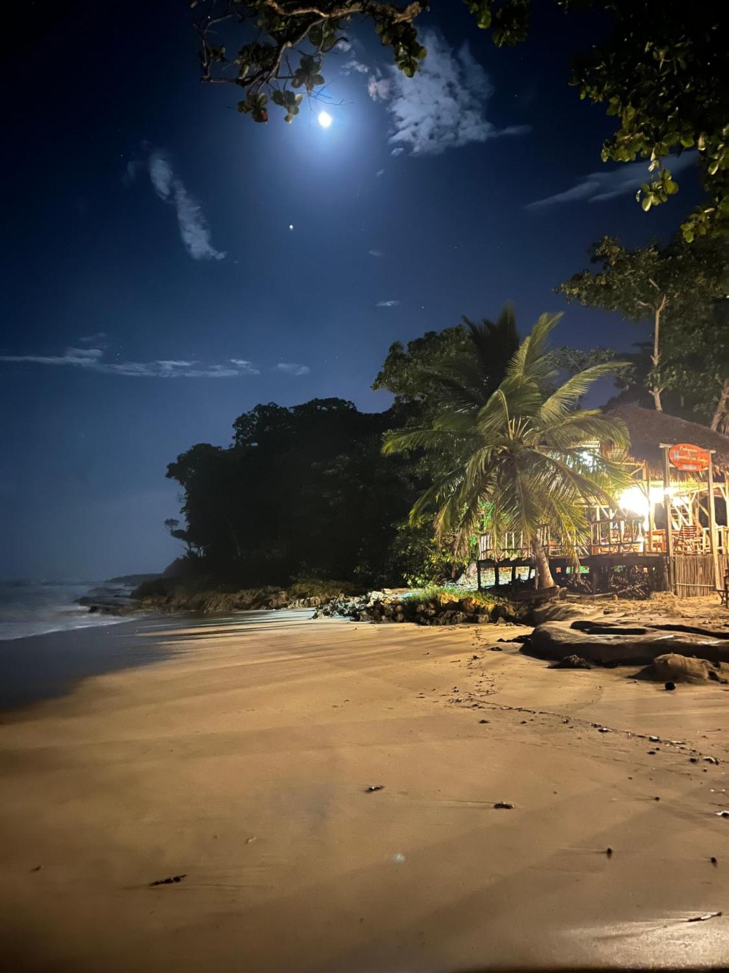 Cabarete Maravilla Eco Lodge Boutique Beach Surf Encuentro, Kite, By Aa Crypto Group Esterno foto